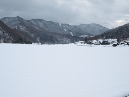 131222_岡大内雪景色.JPG